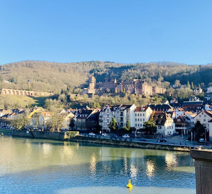 Stadt Heidelberg — 1 Jahr Corona