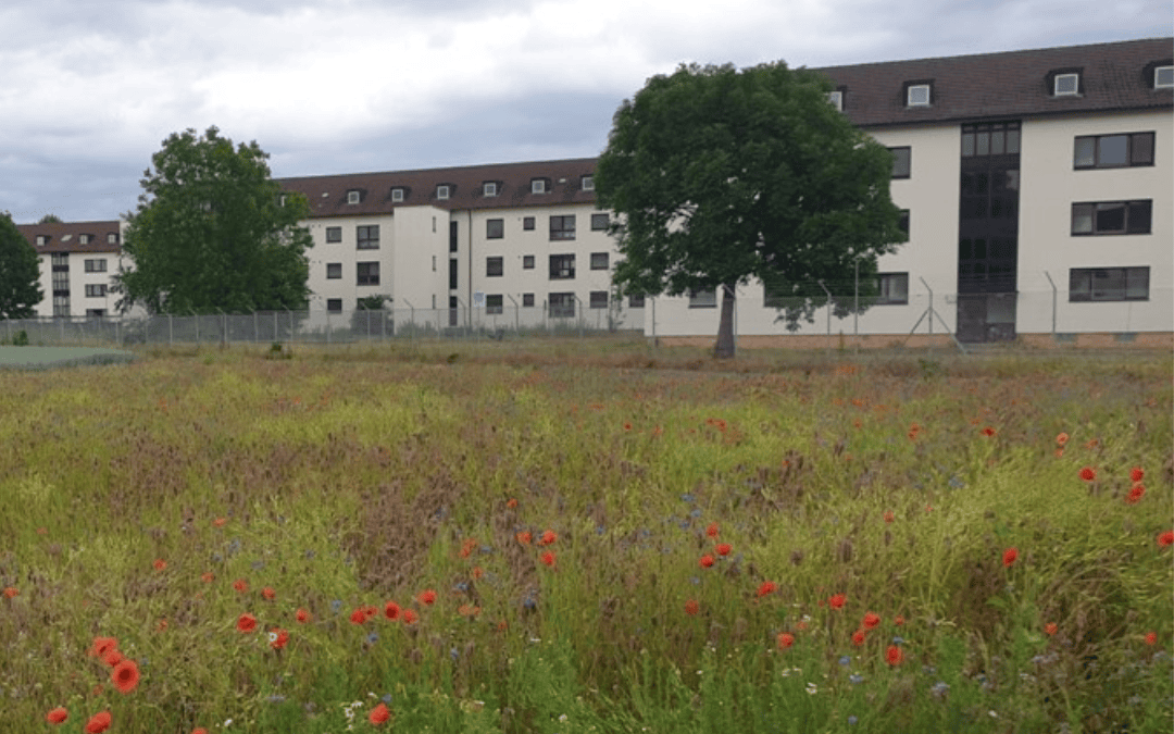 Stadt­teil­ma­nagement für Patrick Henry Village auf den Weg gebracht