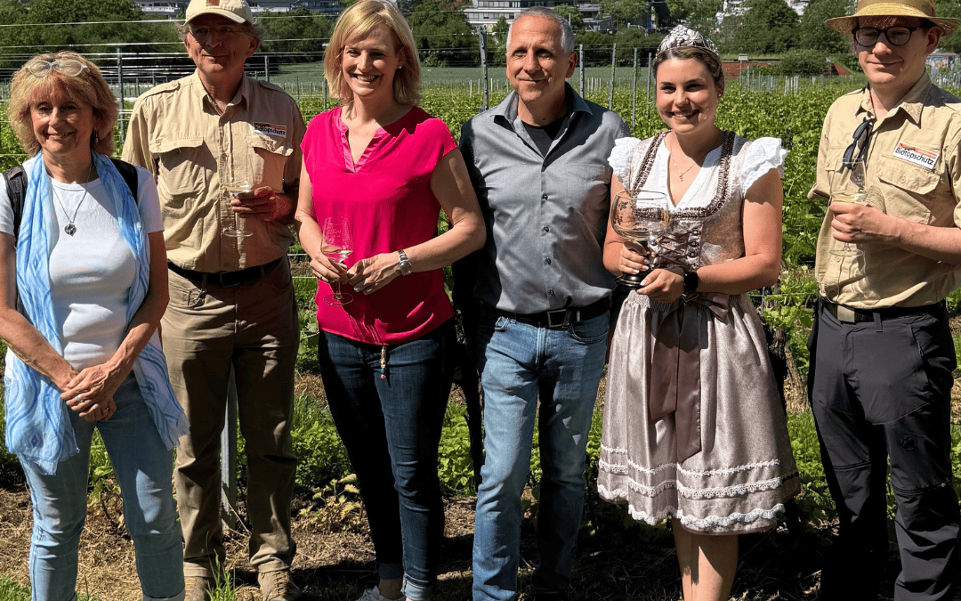 Erleb­nis­wan­derweg Wein und Kultur Heidelberg-Rohrbach