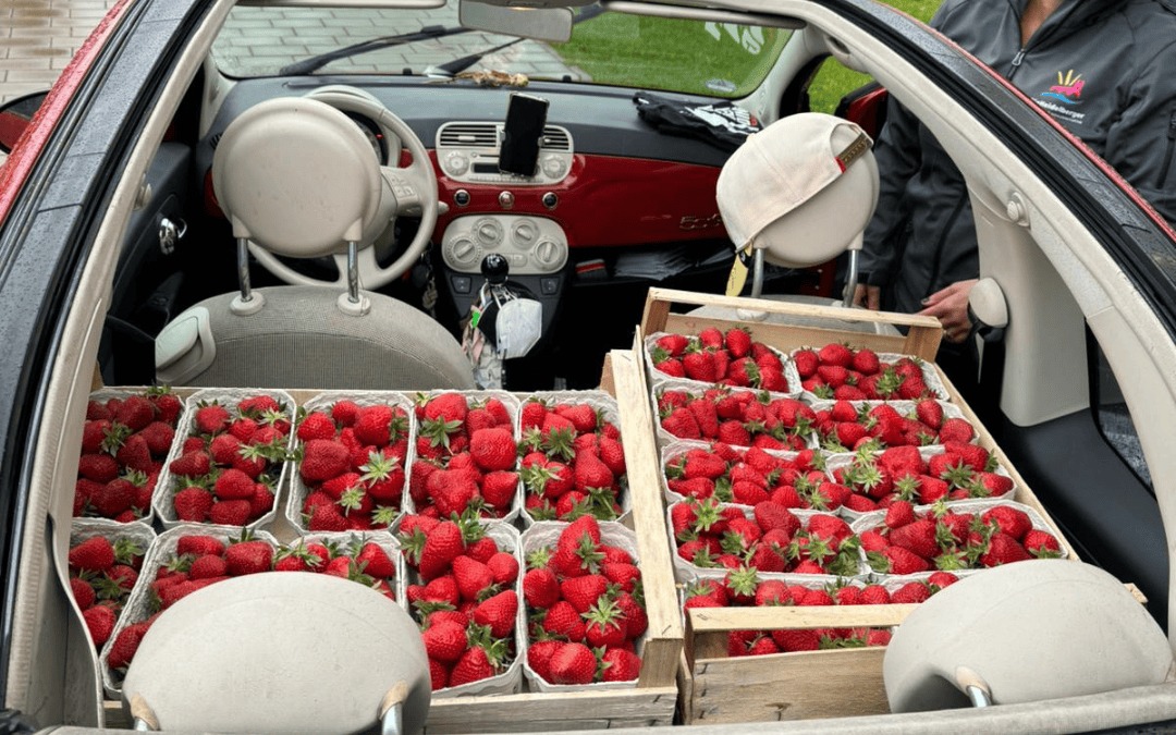 Wir retten Erdbeeren, damit sie nicht in der Tonne landen